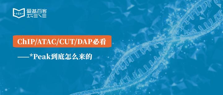 ChIP/ATAC/CUT/DAP必看——*Peak到底怎么来的 - 知乎