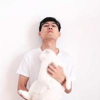 Zhihu profile picture for @rays