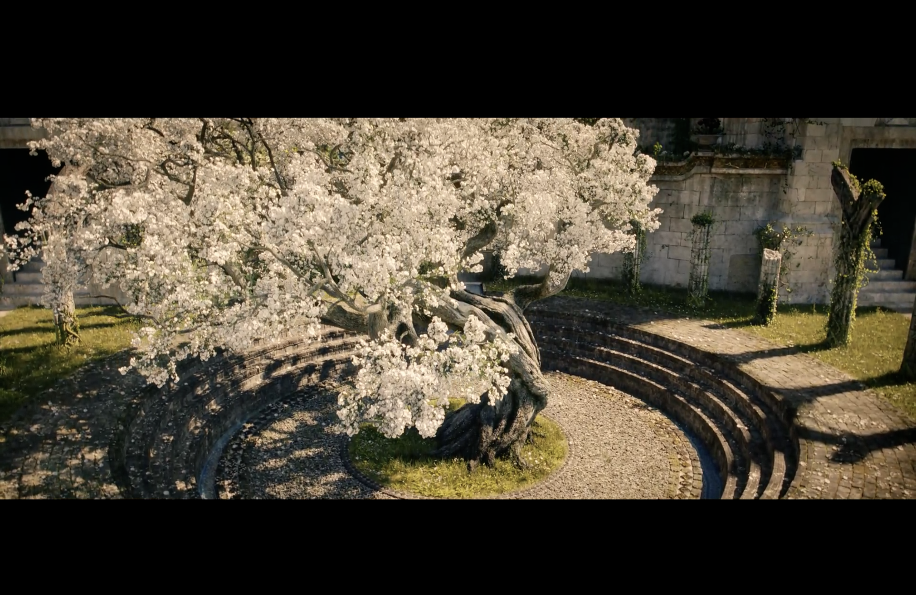 宁洛丝剧中为数不多还原了原著的设定:"一旦白树