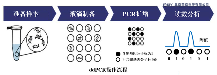 液滴微流控（三）：液滴数字PCR | 微纳立方科技 - 知乎
