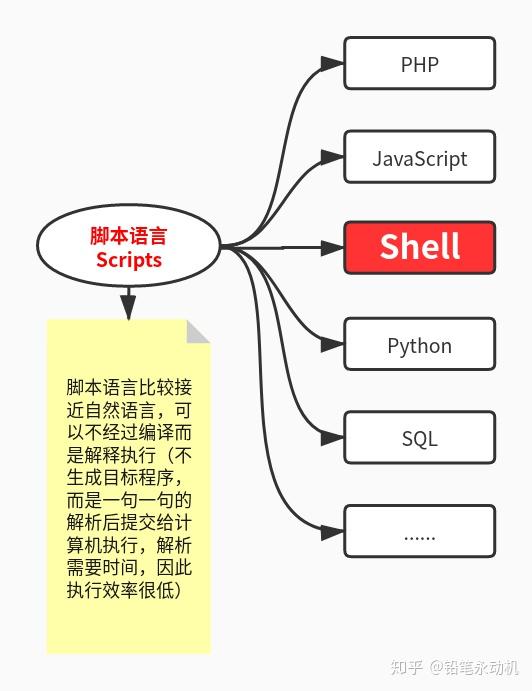 Scripts(脚本语言)、Shell、Sh、Bash之间的关系 - 知乎 image.
