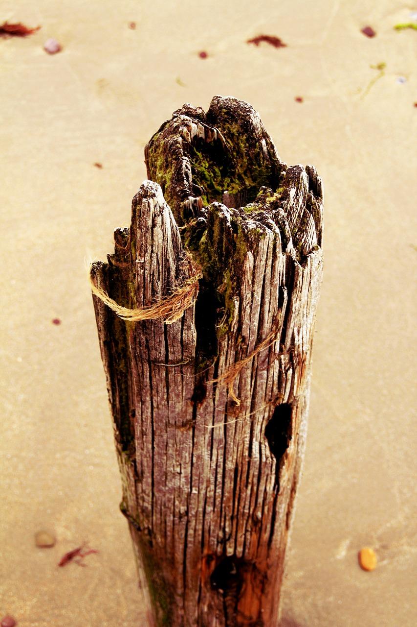 4. 桩基承载力分析