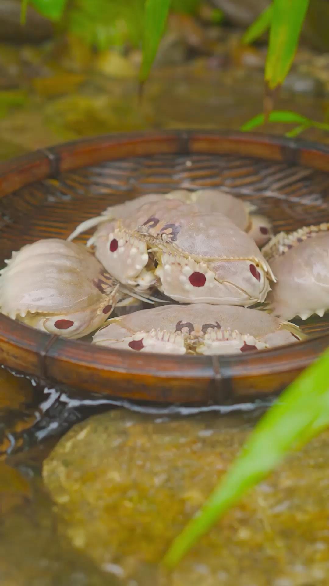 20一斤的馒头蟹,味道好极了! - 知乎