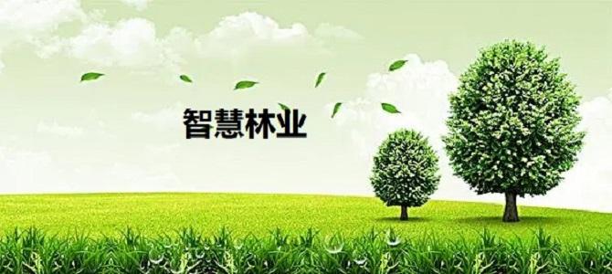 智慧林业---无人机技术在林业中的应用 - 知乎