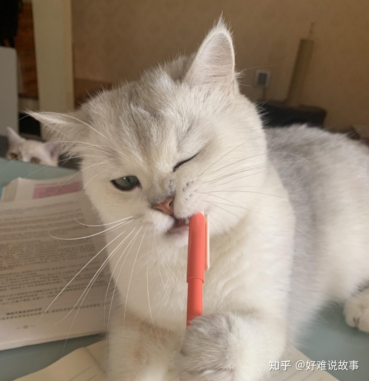 我该如何训练自己的文笔？ - 知乎