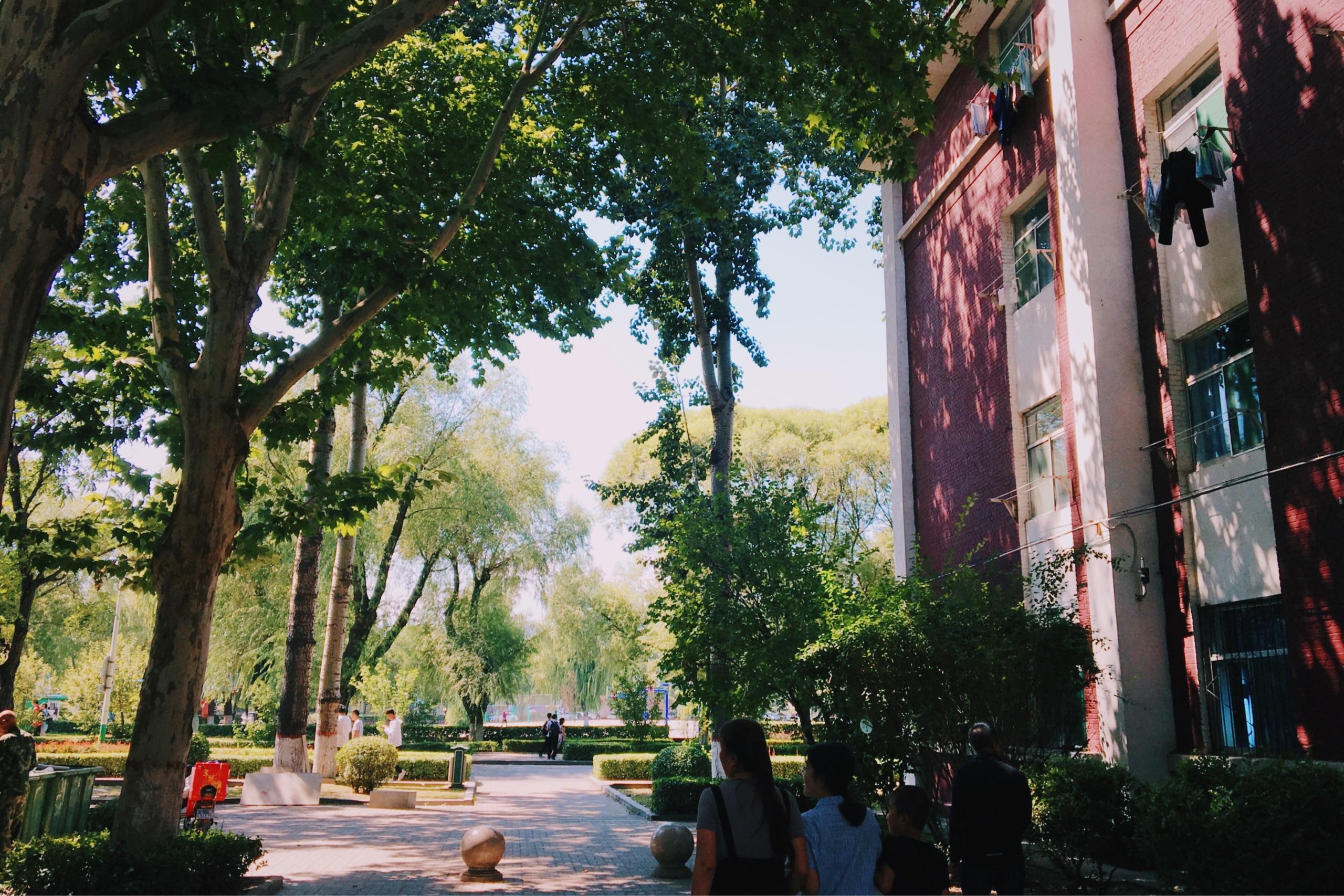 山西大学坞城校区怎么样