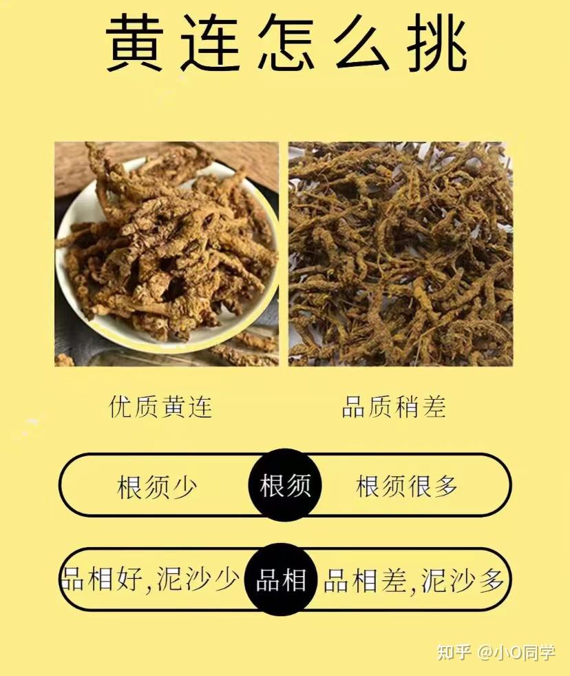 每天认识一味中草药-黄连 - 知乎