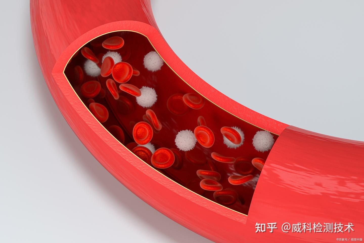 医疗器械生物学评价:溶血试验,守护血液安全的重要关卡 - 知乎
