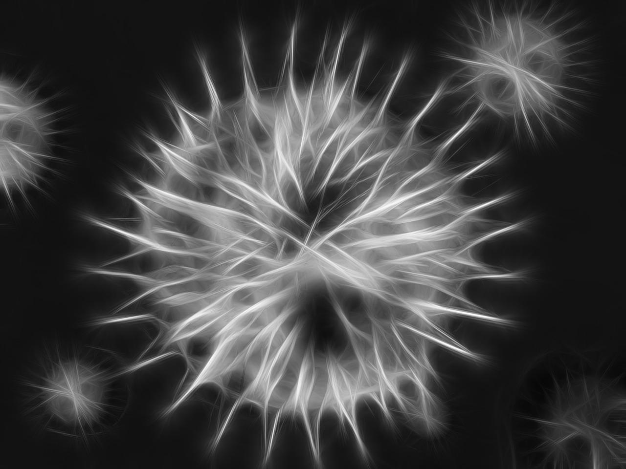 墙面防霉处理要点