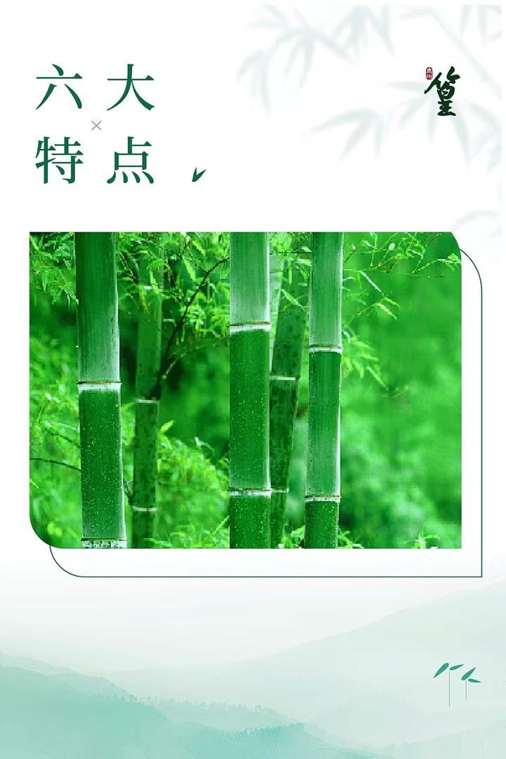 隽州篁酒·通城特产竹酒典范 - 知乎