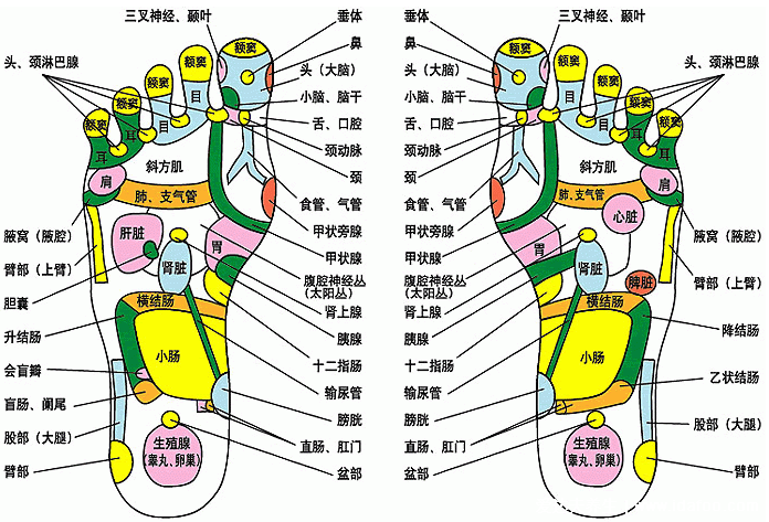 脚底图解大全 男人图片