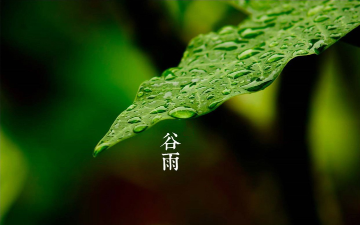 教你用英语介绍