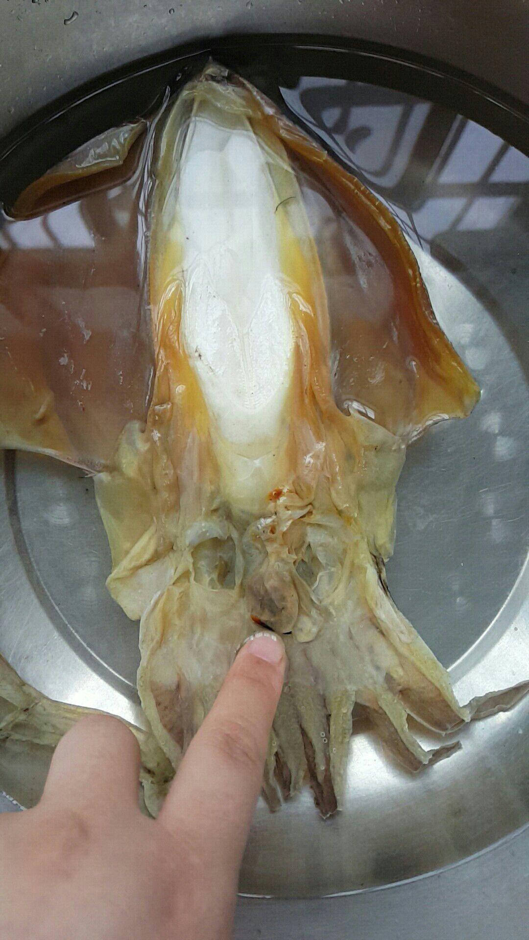 墨鱼干肚子里面白色的是什么? - 知乎