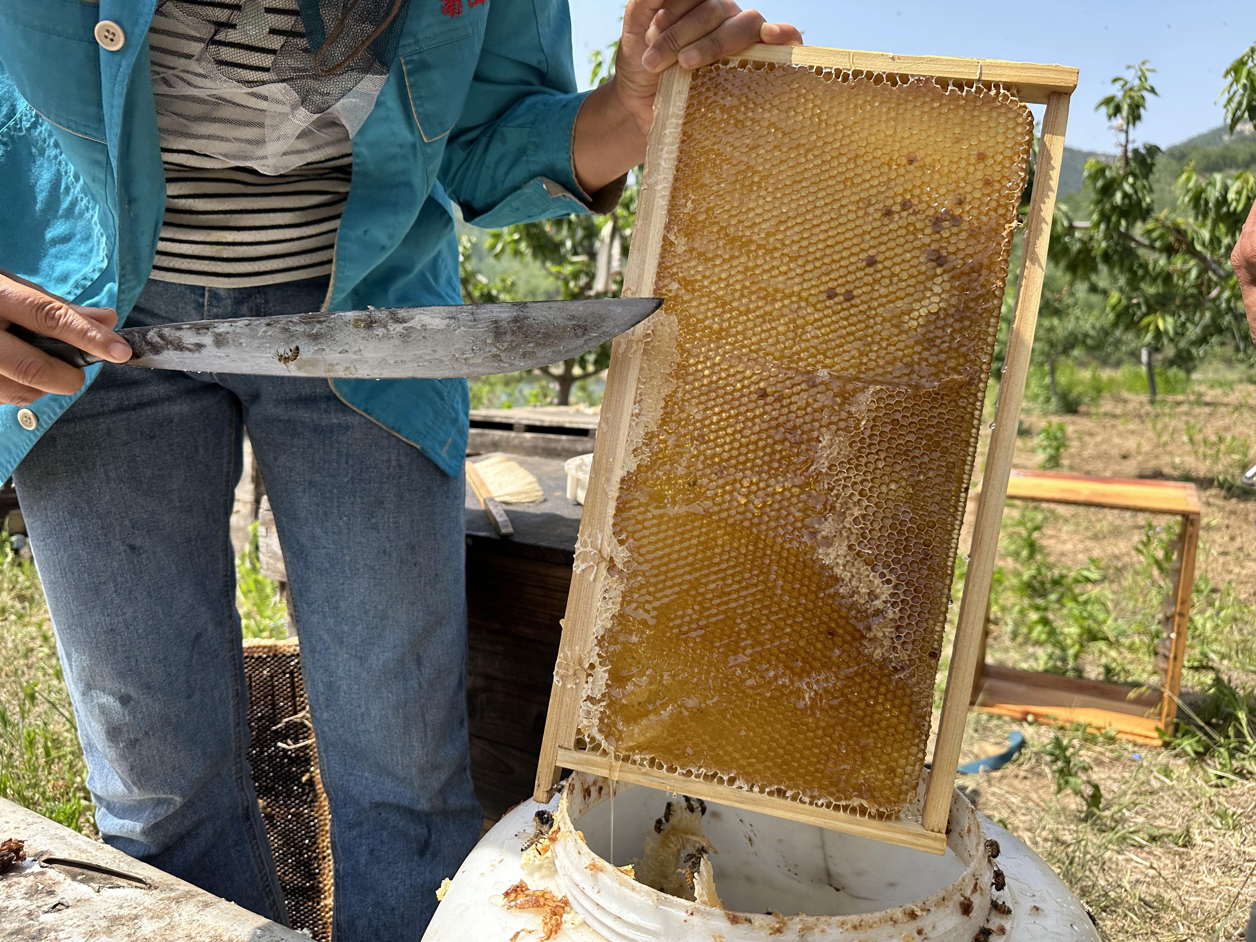 蜂蜜水早晨喝好还是晚上睡前喝好(蜂蜜水早晨喝好还是晚上睡前喝好一点)