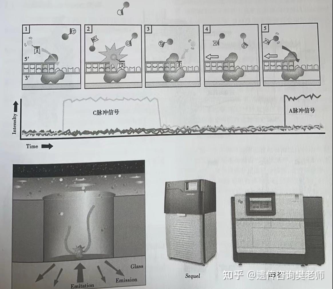 【测序技术篇】一代测序、二代测序、三代测序 - 知乎