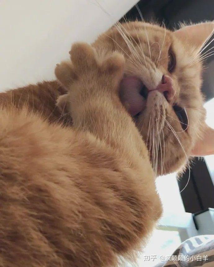 西方人为什么有些人吃东西喜欢舔手指