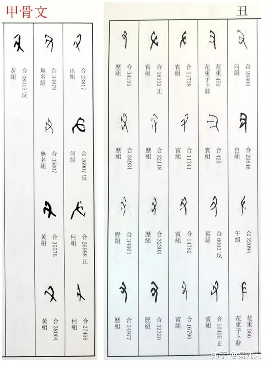 十二地支之“丑”——干支详解 - 知乎