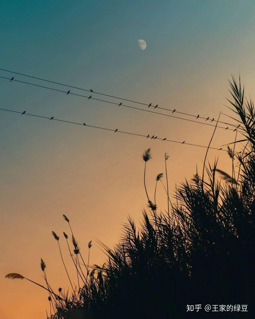 有没有哪些格调高的pyq配图? - 知乎