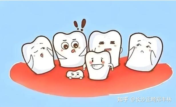 为什么会长多生齿？ - 知乎