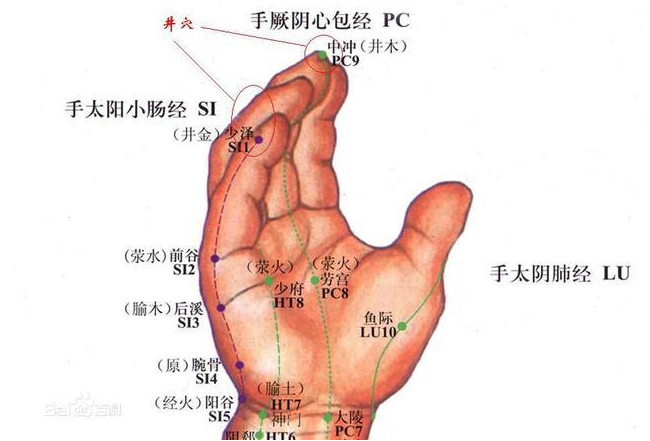 十指放血是否可以用于心脏病突发急救