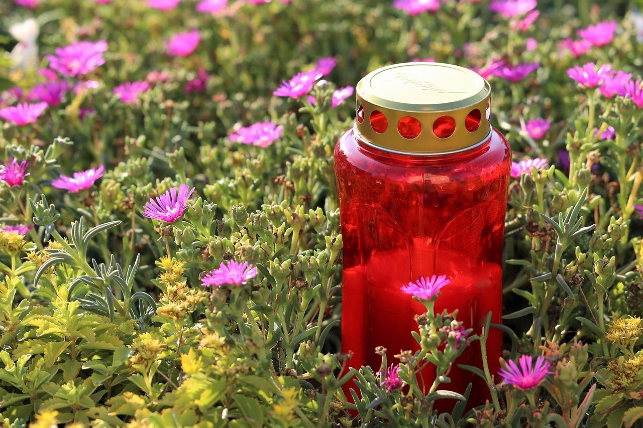 3. 自然风向日葵插