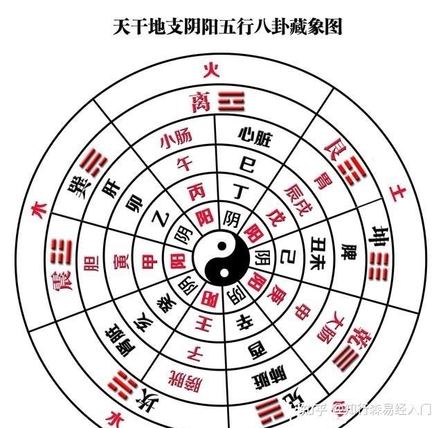 天干地支取数的由来? - 知乎