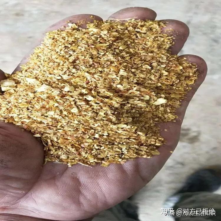 农村的玉米芯有什么用途和作用 嫩玉米芯的功效与作用详细介绍