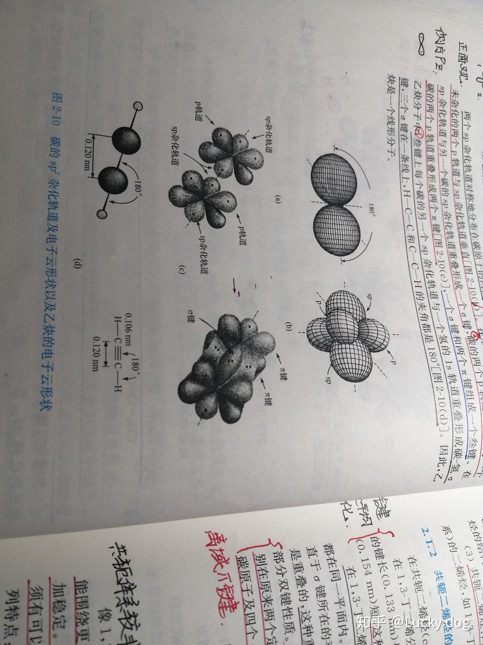 碳原子结构示意图轨道图片