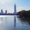 小白