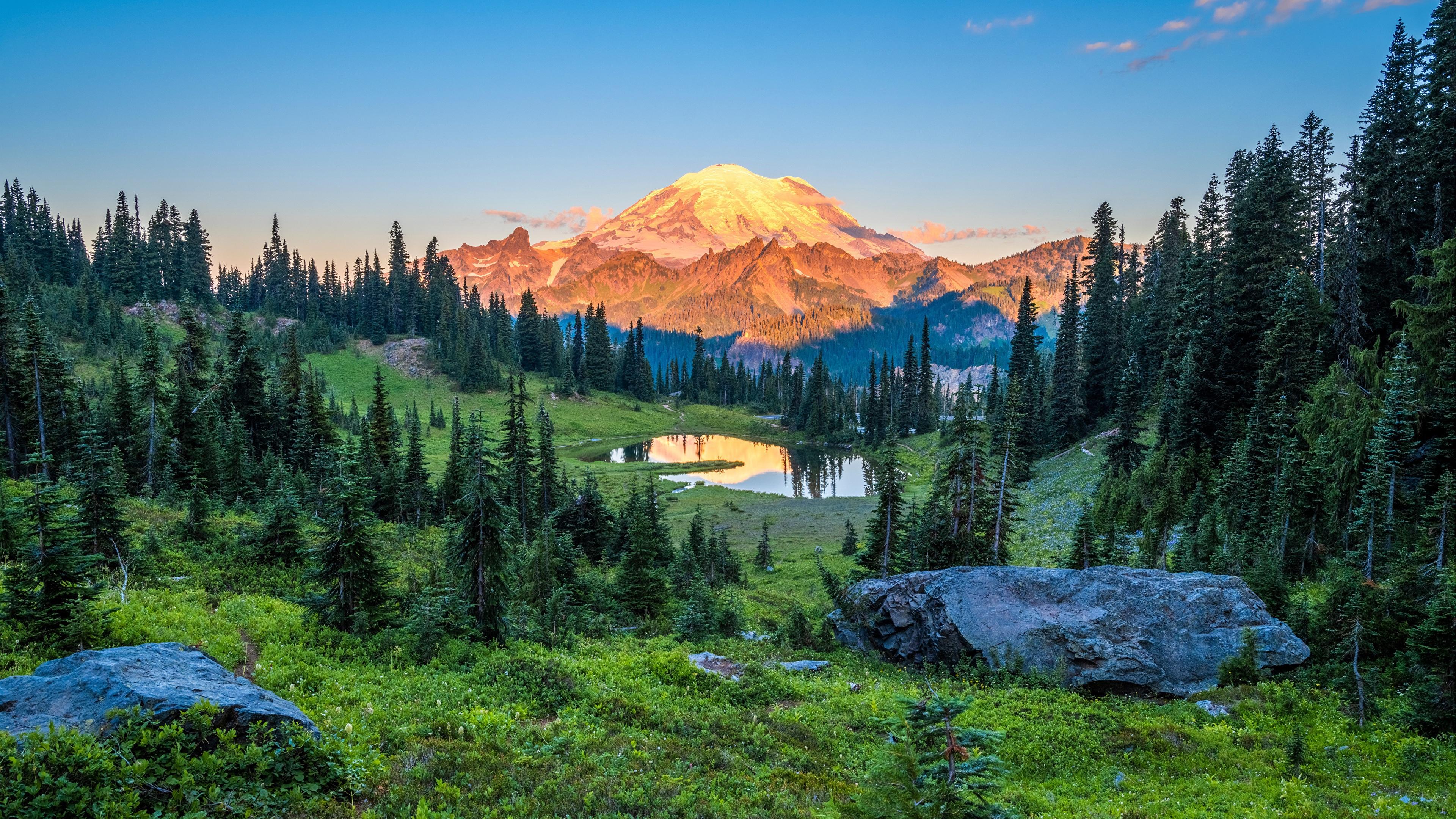 有哪些是你珍藏许久的壁纸? - 知乎