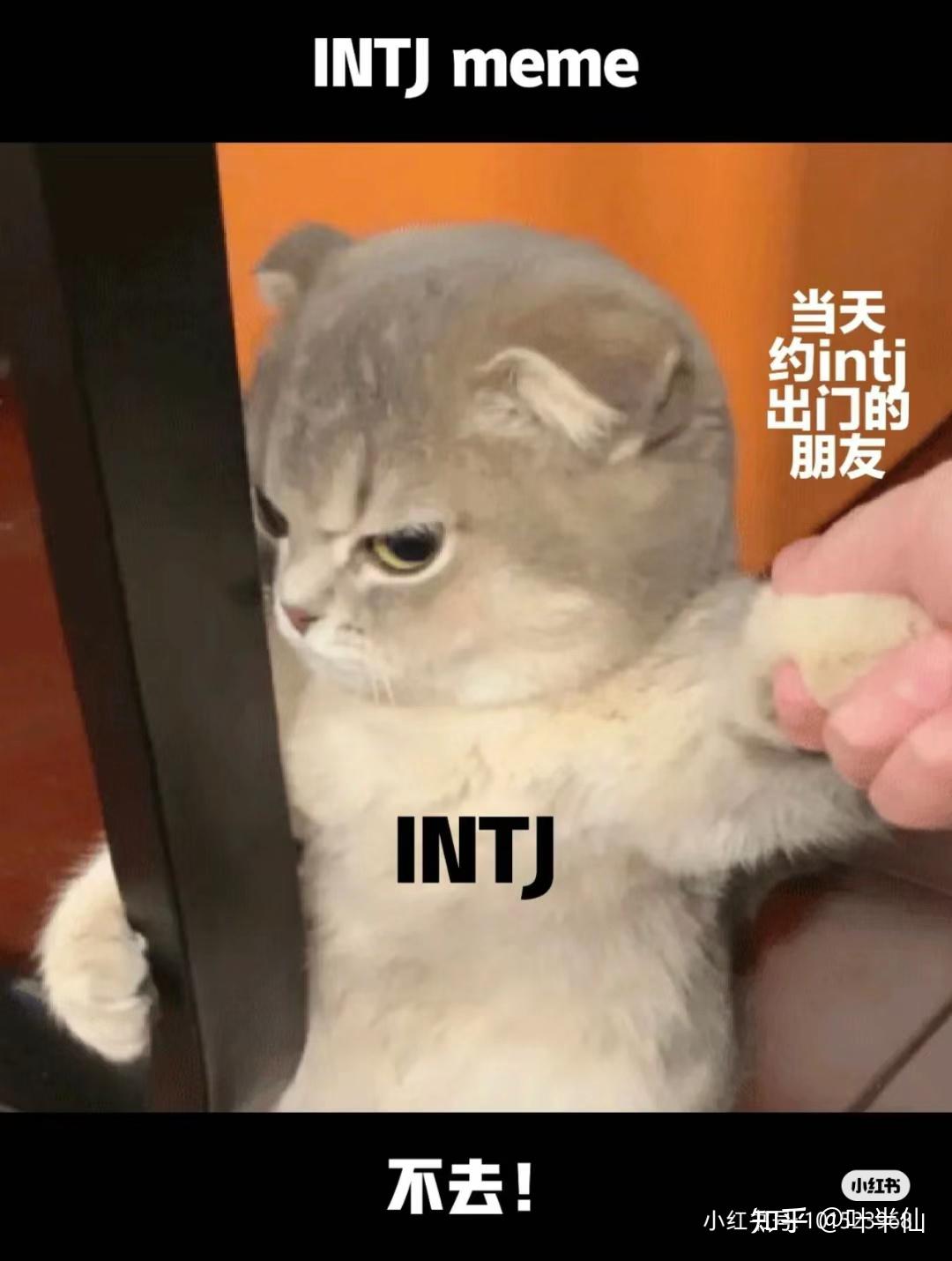 INTJ梗图一览 - 知乎