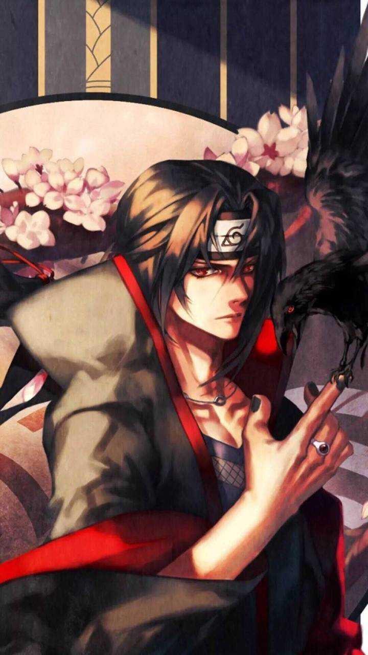 有没有大佬来一个鼬神高清图