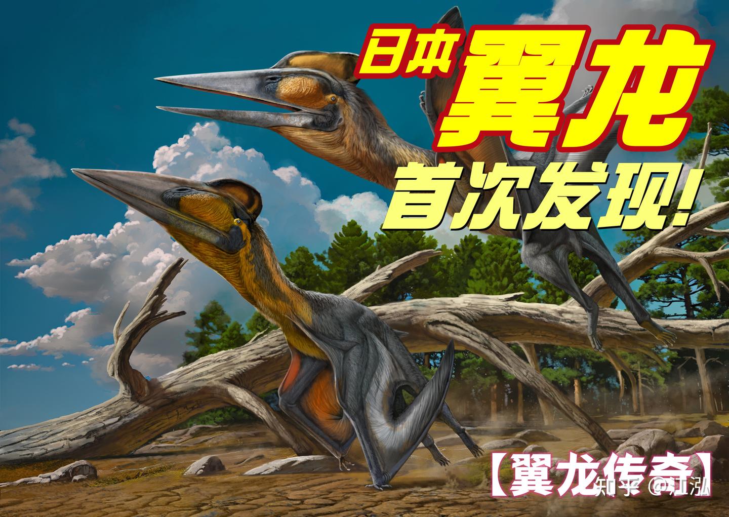 邦題「図説　翼竜百科」 51DYBNRJYAL._AC_SY200_QL15_.jpg