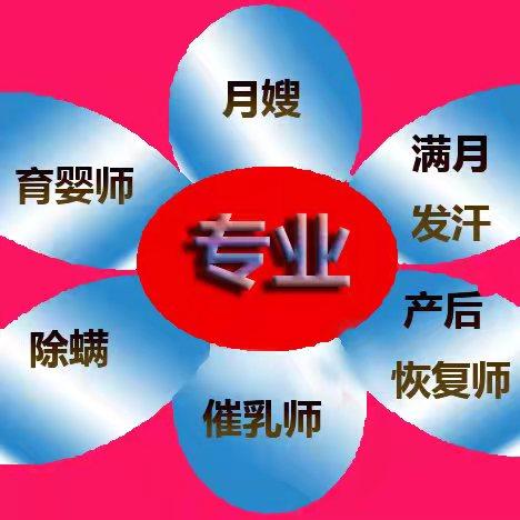 我们的服务内容