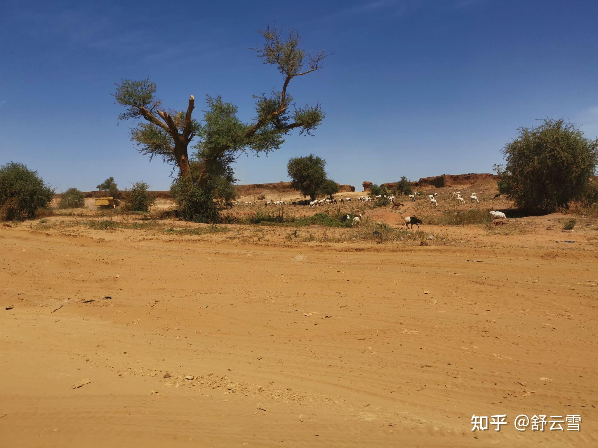 非洲尼日尔有网吗? - 知乎