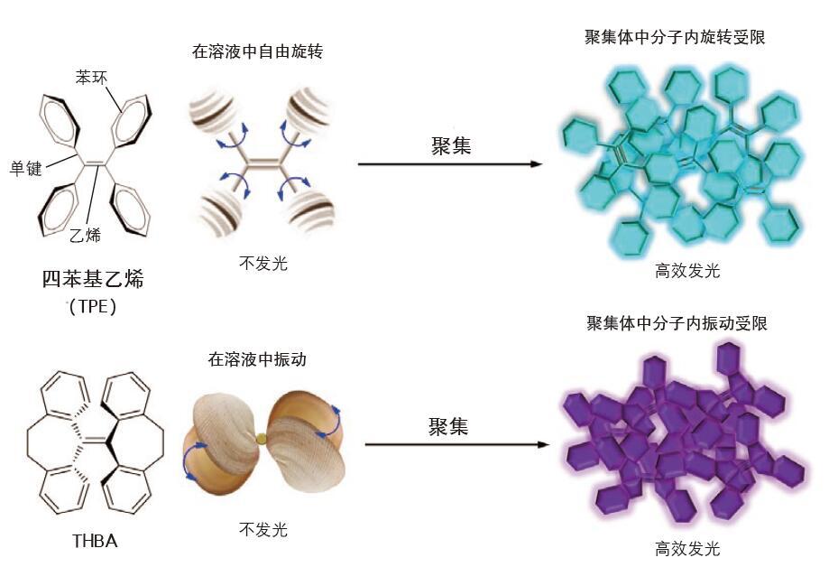 Rir R Iv Rim 获得 2017 年度国家自然科学一等奖的「聚集诱导发光(AIE)」原理是什么?有哪些应用前景? - 知乎