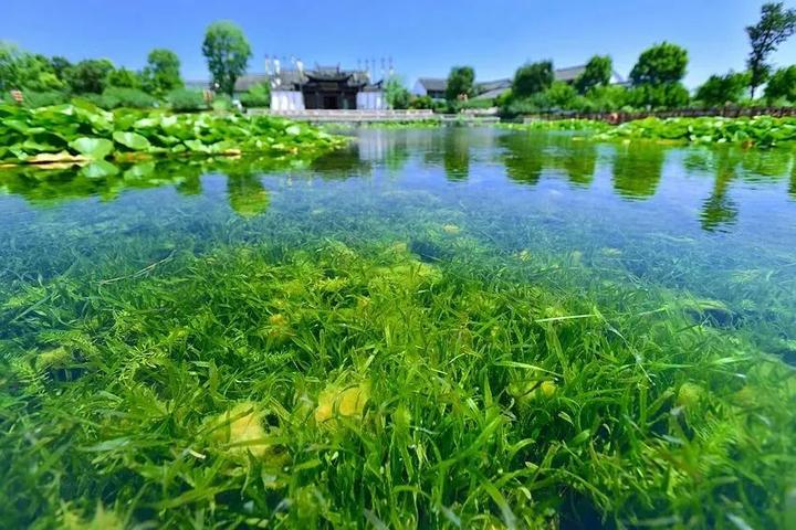 治理蓝藻15年,无锡太湖治理经验! - 知乎