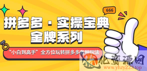 拼多多·实操宝典：金牌系列“小白到高手”带你全方位玩转拼多多各种玩法