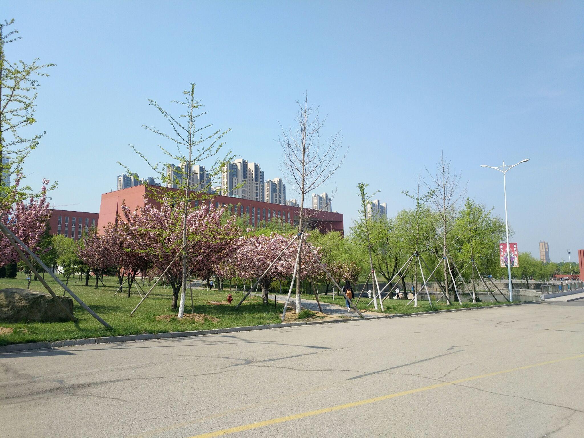 曲阜师范大学日照校区怎么样?