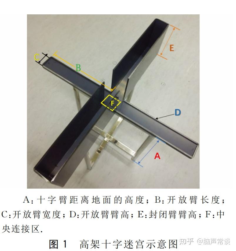 小鼠高架十字迷宫实验谁做过这个实验? - 知乎