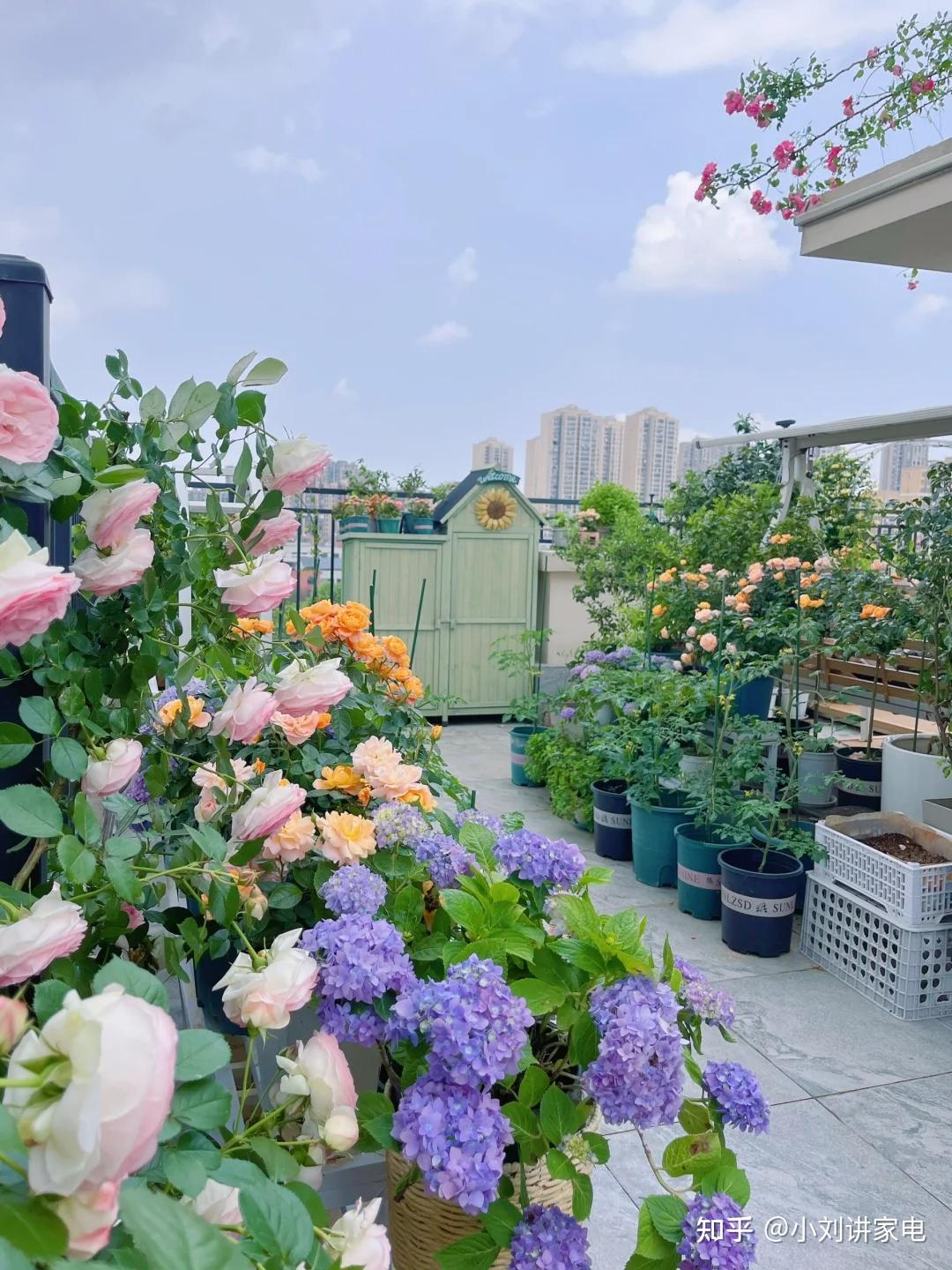 不听劝,我偏要买顶楼带露台,入住3年,真实感受告诉你值不值。 - 知乎