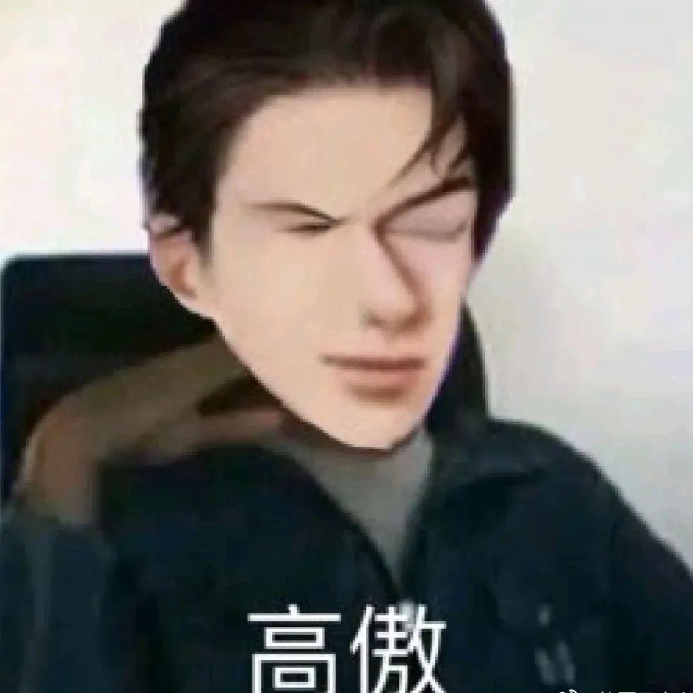 求简隋英表情包