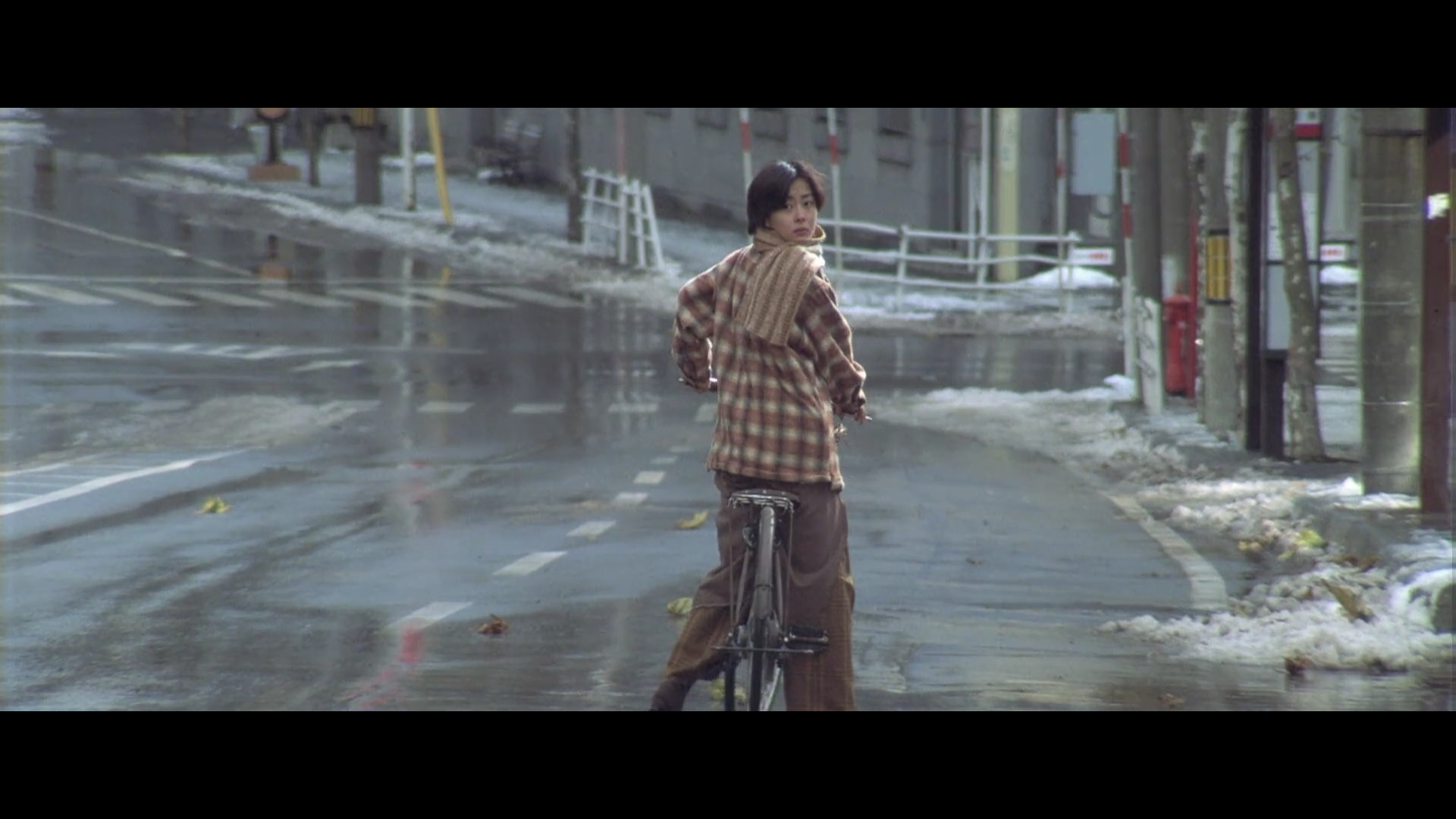 日本电影情书中的男藤井树是否把博子当替代品这样对她公平吗