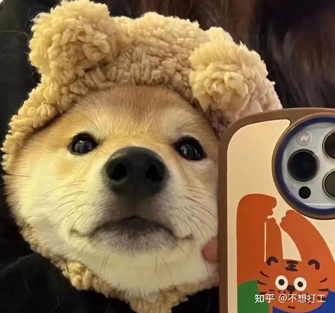 有什么男生用的沙雕头像? - 知乎