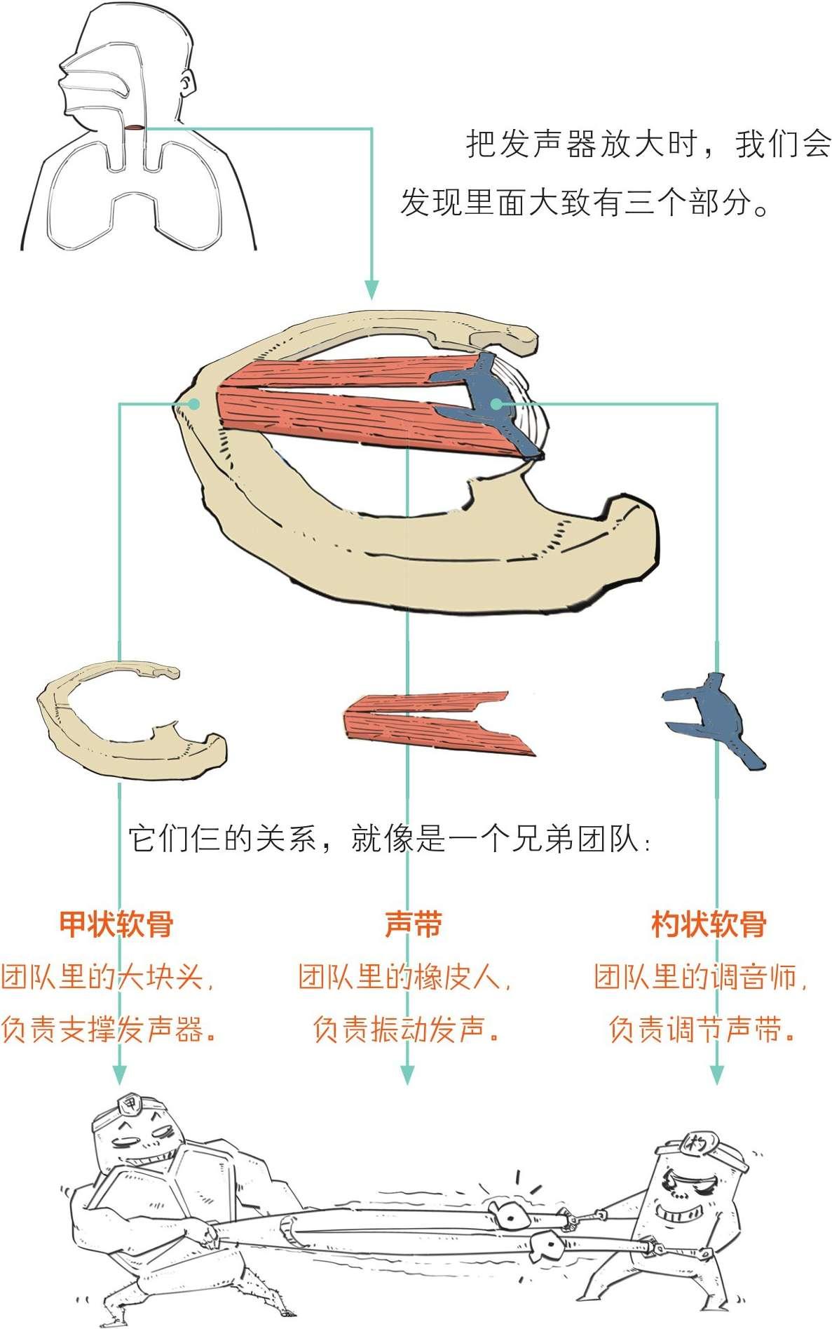 男生变声期如何让以后的声音变好听? 