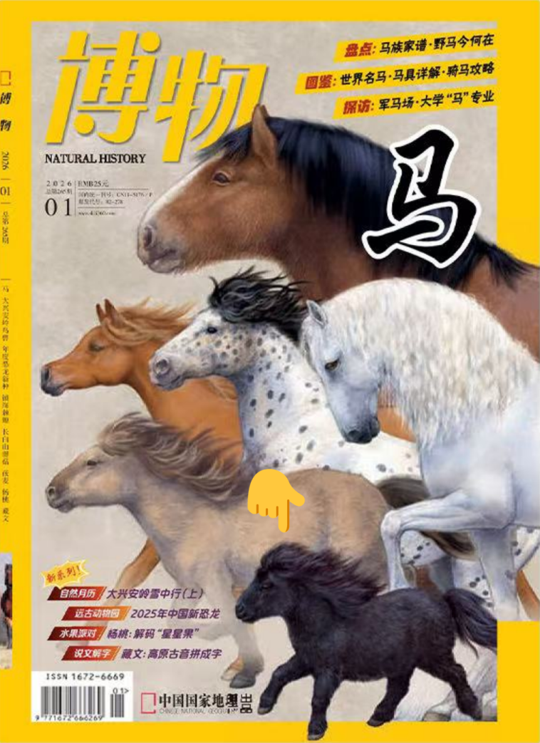 这么小的马竟然也要上班？！不能等它长大吗？ - 知乎