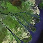 为什么长江入海口可以形成如崇明岛一样的面积较大的岛屿，而黄河入海口却没有？