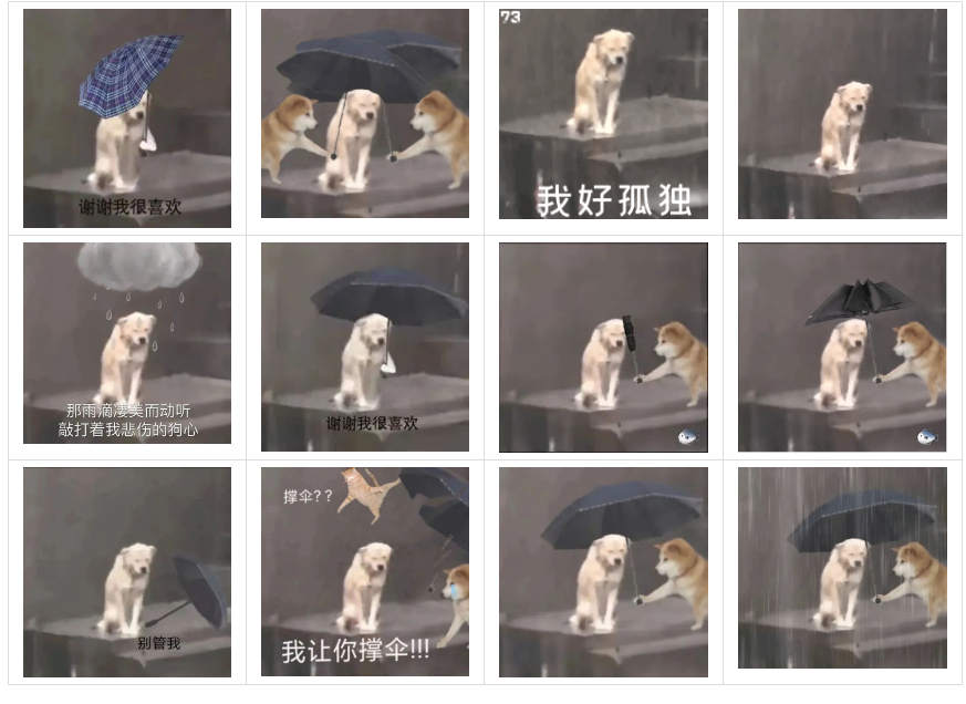 有人知道有一张小狗在雨中淋雨的表情包是怎么回事吗好像还被铁链子拴