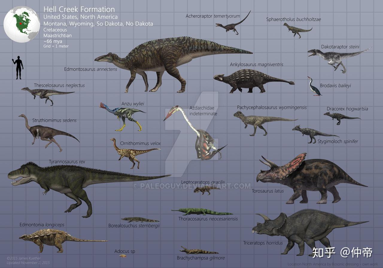 求恐龙大小比例图