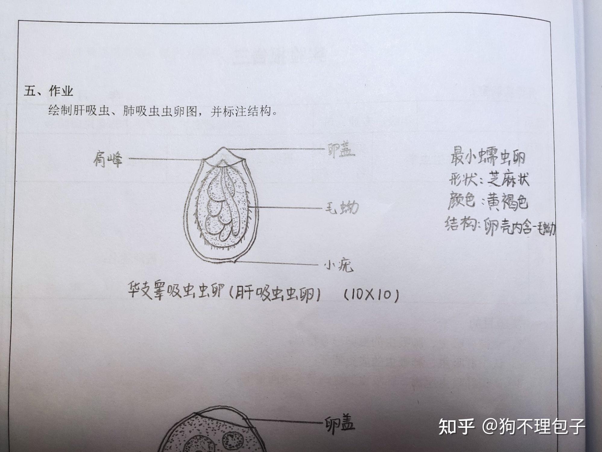 医学生怎么学好生理生化微生物寄生虫?